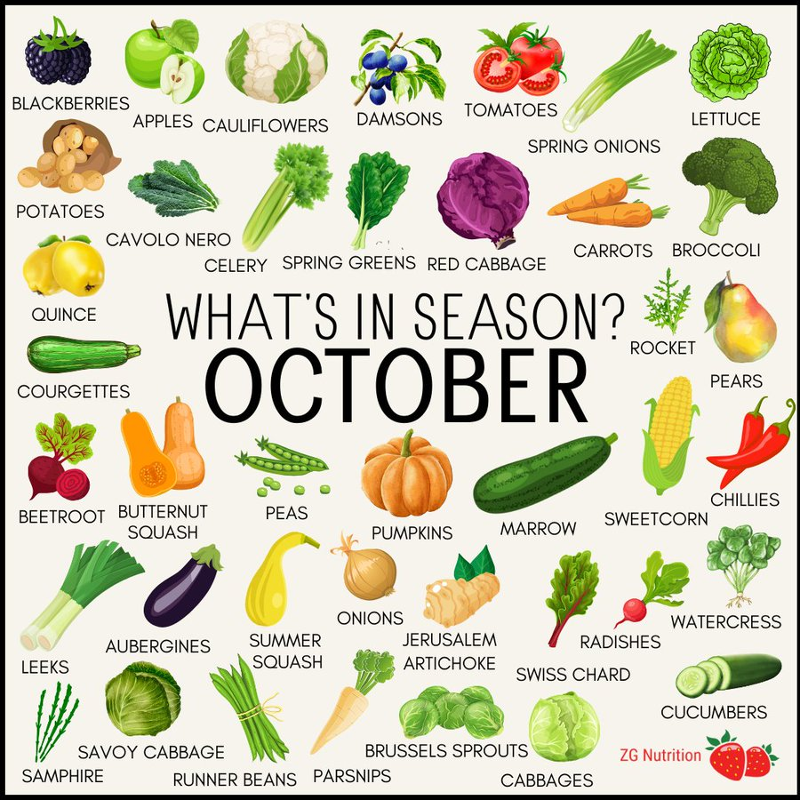 A really lovely guide to use with children to talk about what is in season in the UK in October and to help plan seasonal menu's for your setting🍐🥬🌽🥦
