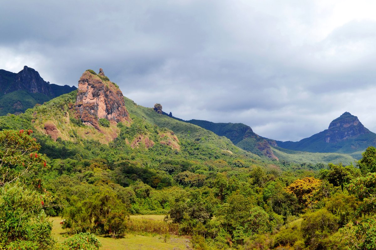 Exoticethiopian's tweet photo. The reasons behind One Park Many Worlds,....!
#OneParkManyWorlds #Project02 #VisitOromia #VisitEthiopia #ExperiencingYourChoices #BookNow #BaleMountainsNationalPark
@visiteth251 @VisitOromia @flyethiopian @lonelyplanet @TravelLeisure @NatGeoTravel https://t.co/Evw68awRHU