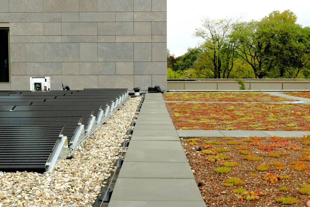 Een groot deel van de daken in de gemeente Utrecht is onbenut. Laten we daar verandering in brengen! Het nieuwe Servicepunt Duurzame Daken helpt uw dak te verduurzamen! Duurzame daken dragen bij aan energieopwekking, verkoeling en afvoeren van regenwater! bit.ly/3rwKuTb