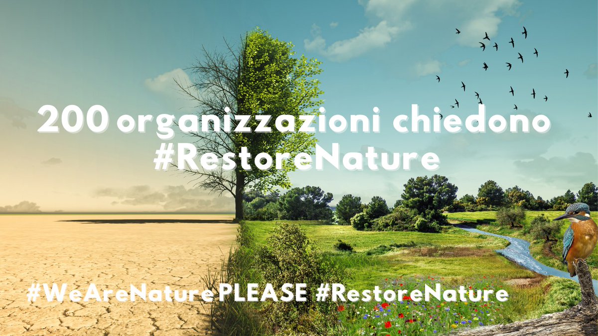 Insieme a 200 organizzazioni chiediamo ai leader #EU di adottare la Nature Restoration law, fondamentale per:

📷proteggere i cittadini dal #climatechange
📷rispettare gli impegni internazionali su #biodiversità e #Clima 

#WeAreNature #RestoreNature
📷 bit.ly/46AFXOe