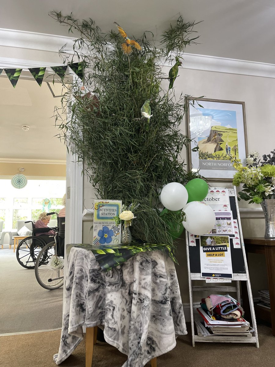 MalouOrtz's tweet photo. Please join us on 4th of Oct for our Wild Wednesday! Come in your Wildest outfit and win a price! We are raising funds for RSPCA 🦁🐻🐼🐨🐯 https://t.co/TTdqTg0Cg4