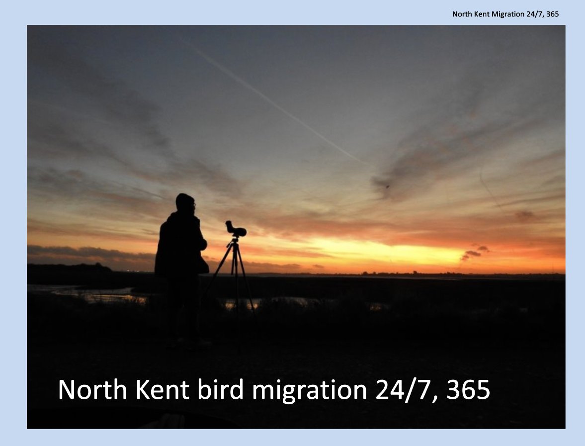 LowCarbonKev tweet media