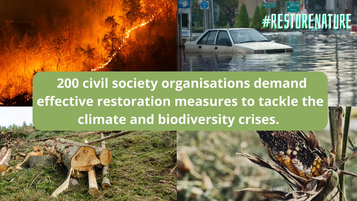 Floods. Heatwaves. Wildfires. Droughts.

It is the duty of our leaders to give Europeans a law that will truly protect them from future climate change-related disasters. 
 
200 NGOs urge to adopt the #RestoreNature Law that is fit for purpose!

👉 birdlife.org/wp-content/upl…