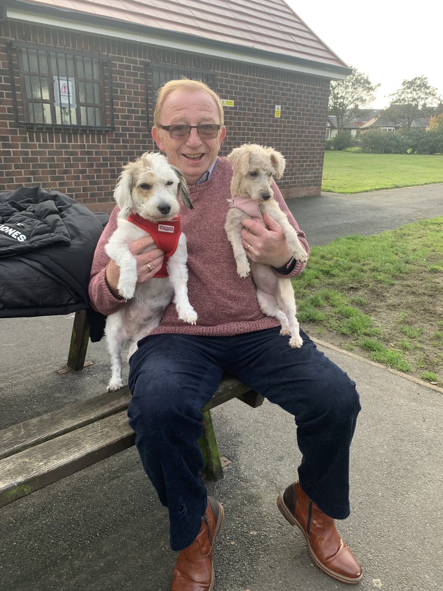 Sheila_Maisie's tweet photo. Me and Dad with my new sisfur Stevie. I’m a 5-year old Jackapoo, Stevie’s a Westipoo, she’s 5 months old. https://t.co/YPNmY6Ht49
