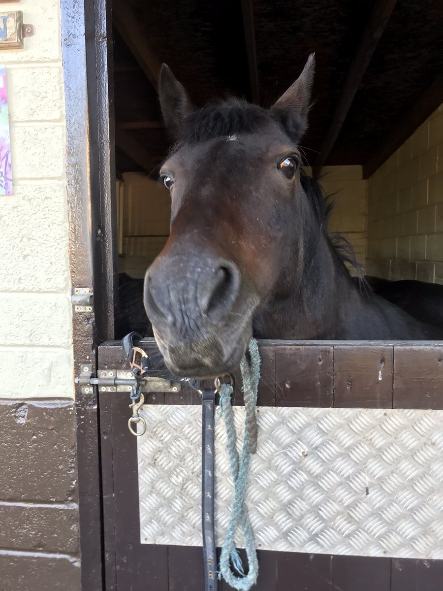 Sebastian awaiting his annual flu vaccination
