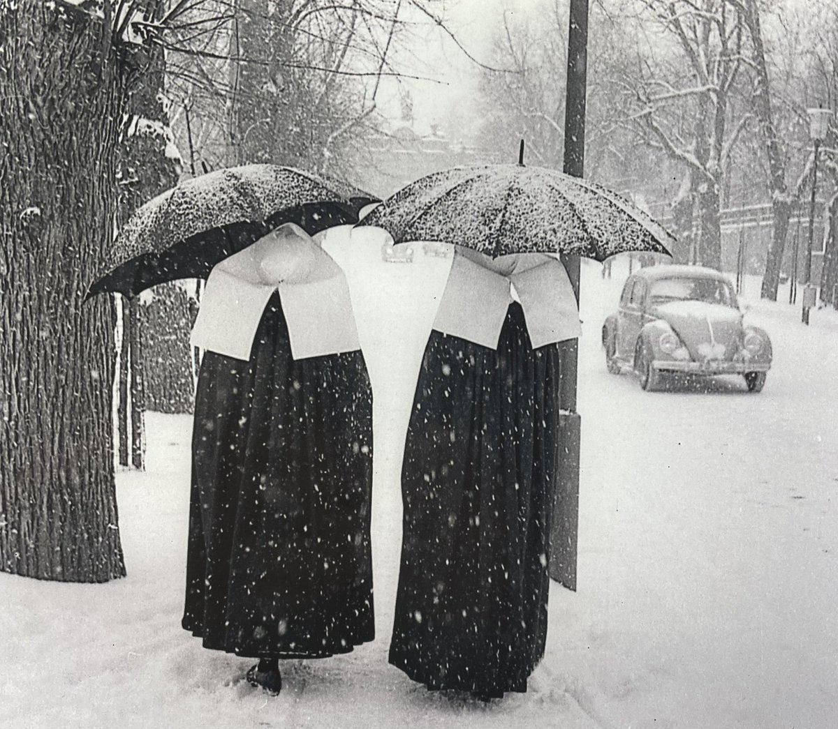 Wenn ich doch nur wüsste, wo hinten und vorne ist 🤔.