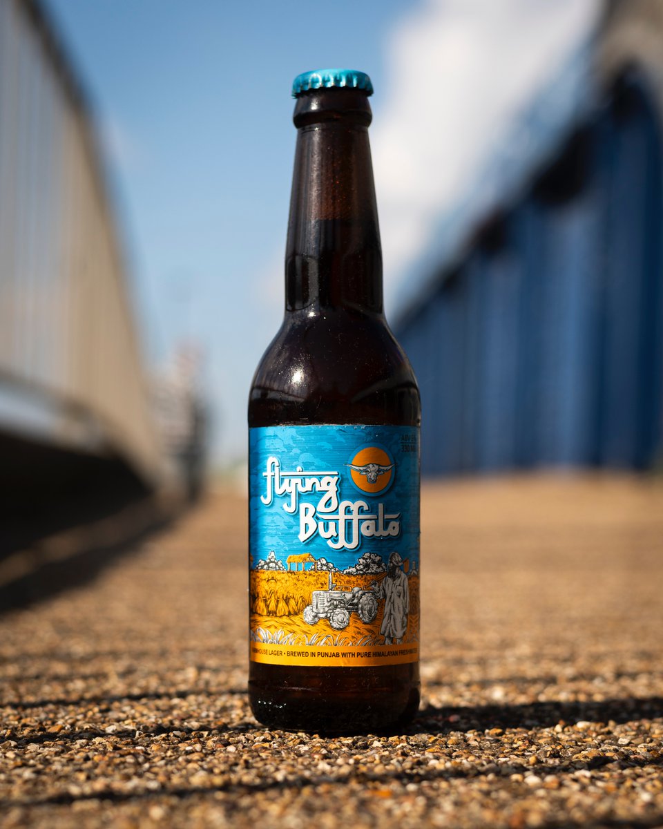Flying Buffalo (@flyingbuffalouk) on Twitter photo โ๏ธ An Indian Summer Is Coming โ๏ธ
If the rumours are true, we have some delicious weather to look forward to!
Let's get beer-garden ready:
๐ฑ 0800 688 9808
๐ง sales@flyingbuffalo.co.uk
๐ flyingbuffalo.uk โ๏ธ An Indian Summer Is Coming โ๏ธ
If the rumours are true, we have some delicious weather to look forward to!
Let's get beer-garden ready:
๐ฑ 0800 688 9808
๐ง sales@flyingbuffalo.co.uk
๐ flyingbuffalo.uk