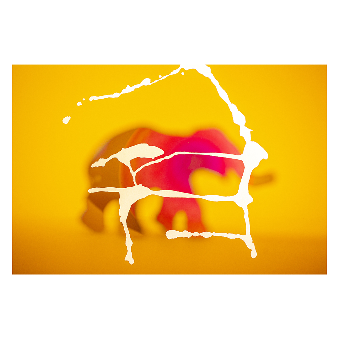 AndersenMStudio's tweet image. The Breeders – ‘Last Splash’ 30th-anniversary tour
Design by Chris Bigg
Photography by Martin Andersen
–––
Chris and I have worked on a tour backdrop film for the Breeders ‘Last Splash’ 30th-anniversary tour. Here are 4 of the photographs from the series of 128 tour visuals.