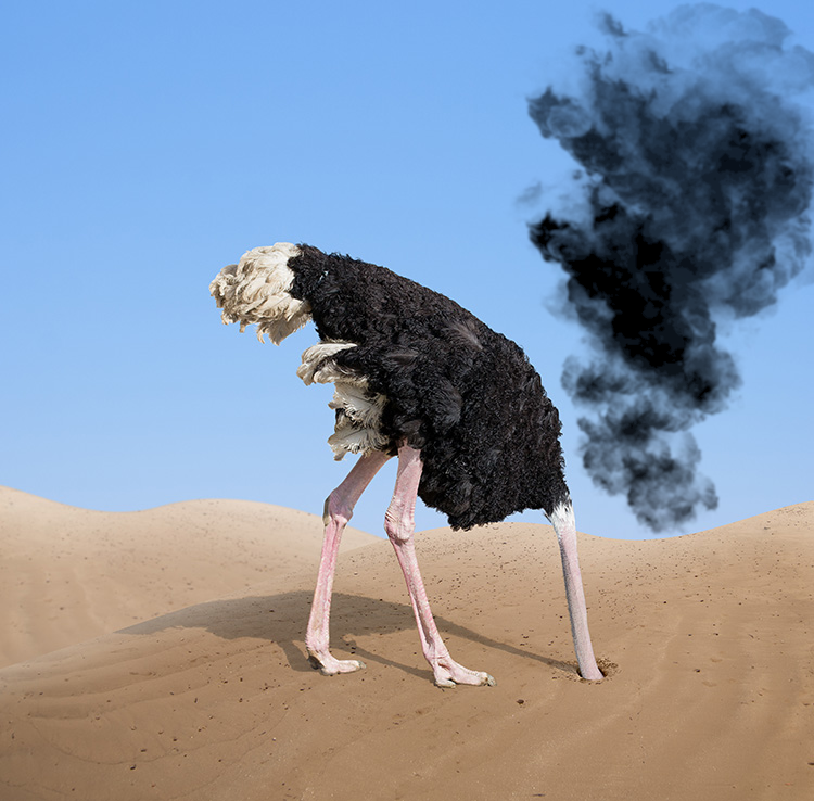 "𝐐𝐮𝐞𝐢 𝐦𝐚𝐥𝐞𝐝𝐞𝐭𝐭𝐢 𝐥𝐨 𝐡𝐚𝐧𝐧𝐨 𝐫𝐢𝐟𝐚𝐭𝐭𝐨!"
È un mese ormai che dal tramonto, puntuale come una routine ben collaudata, la città di Foggia è invasa dal fumo che viene dalle campagne limitrofe.

Ai Candidati Sindaco/a di Foggia, COLLABORATE!