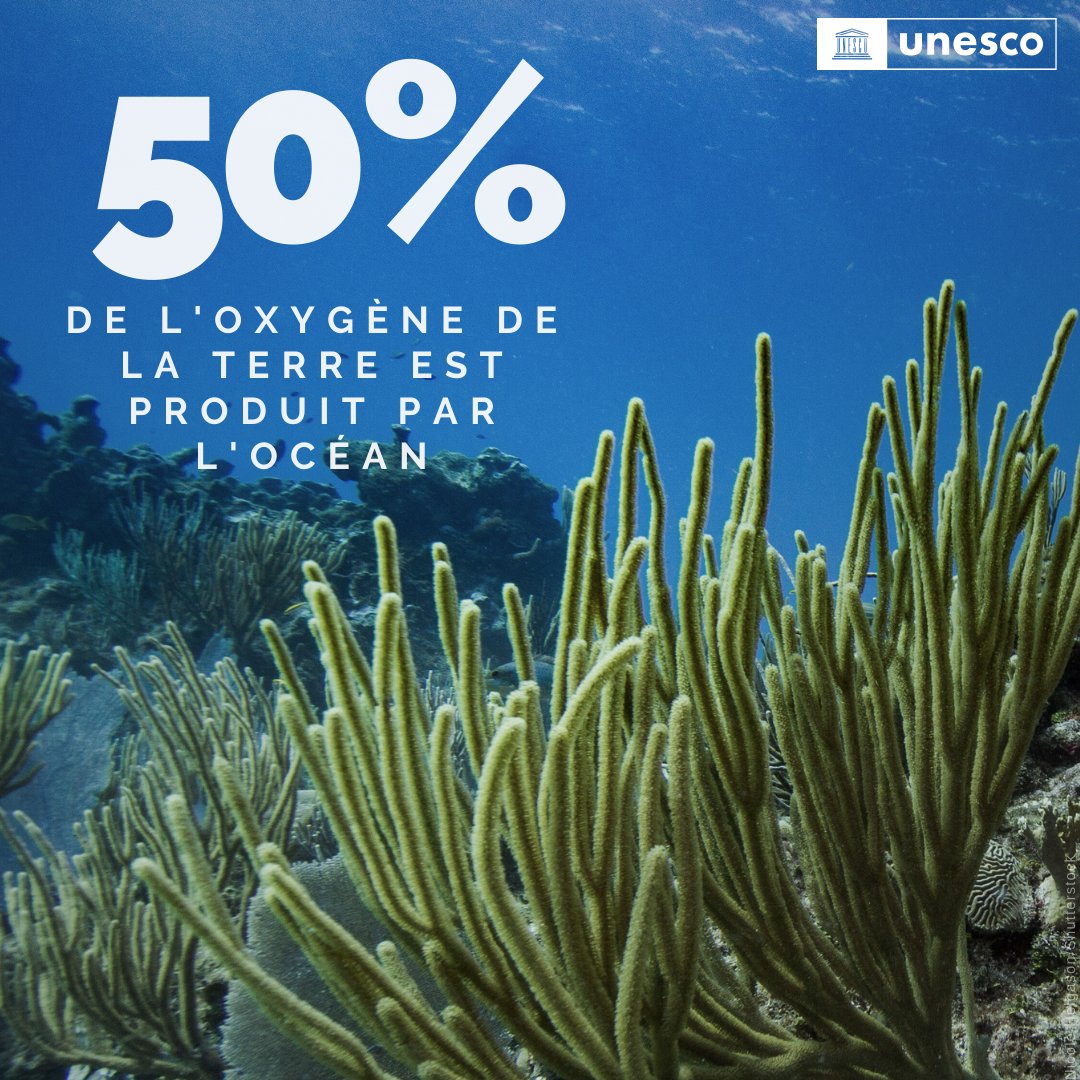 UNESCO_fr's tweet photo. L’océan fournit l’air que nous respirons &amp; absorbe 30 % des émissions de CO2 de la planète. Pourtant, nous le détruisons : il n’a jamais autant été menacé par l’activité humaine.

L’@UNESCO_fr appelle tous les pays à agir pour #SauverNosOcéans !

https://t.co/rVP3gWmr9e https://t.co/JS2hOi5EM9