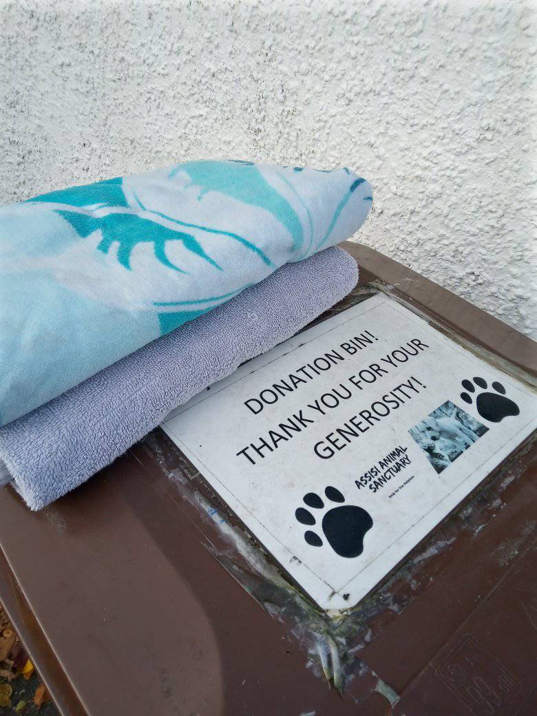 Donated what I am hoping will be the last 2 beach towels to be removed from Ballyholme Beach; these are from recent clean ups. Hope the animals at @AssisiSanctuary can make use of these laundered items 🐶#TakeYourBelongingsHome #Reuse #LoveYourBeach #lovewhereyouvisit 🏖️♻️🌏