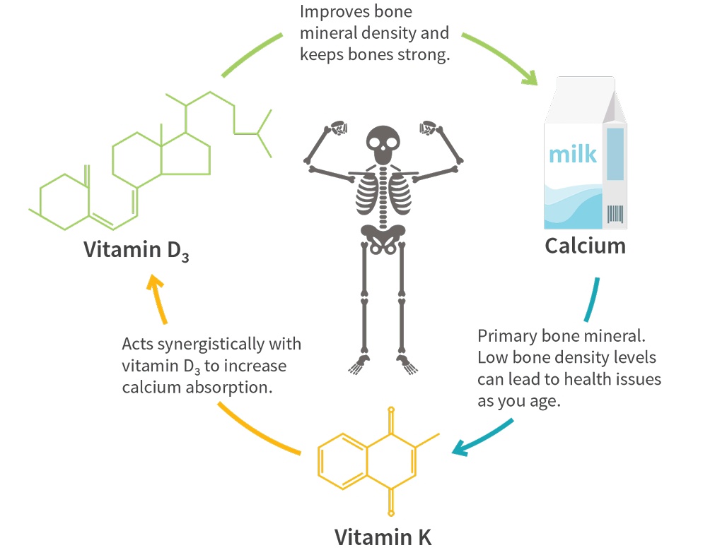 Vitamin K Calcium Discount Shops