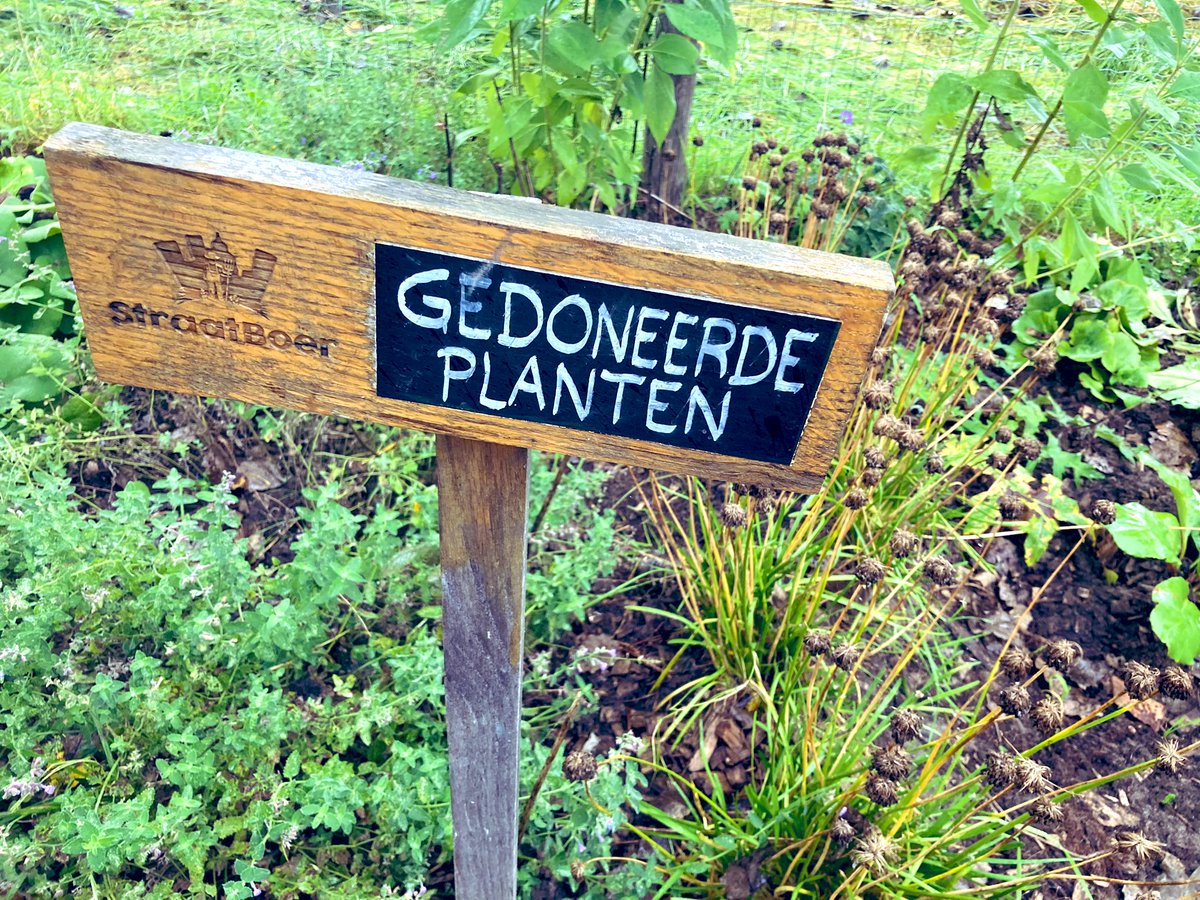 Vandaag een kenningsmakingsdag met <a href="/straatboer/">Straatboer</a> in Zwolle. Prachtig sociaal en groen project voor voortuinen van huurders.
