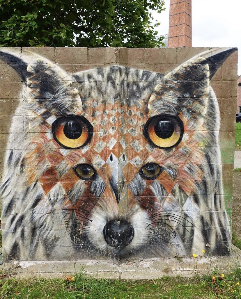 lovestreetart22's tweet photo. 🦉🦊🦉🦊🦉🦊🦉🦊🦉🦊🦉🦊
“Owl meets Fox” by Ceepil in Ghent, Belgium (Photo by Artist).
#StreetArt #Ceepil #fox #owl #Belgium https://t.co/O54cQhrKnE