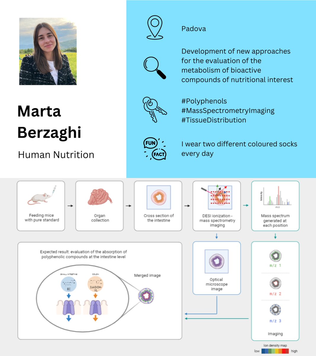 FoodPhDUnipr's tweet photo. Have you ever heard about mass spectrometry imaging? Let's #MeetThePhD that works on it!
π©βπ @MartaBerzaghi
π΅ @HNUnipr
π #Polyphenols #MassSpectrometryImaging #TissueDistribution https://t.co/bTGRQpP9MX