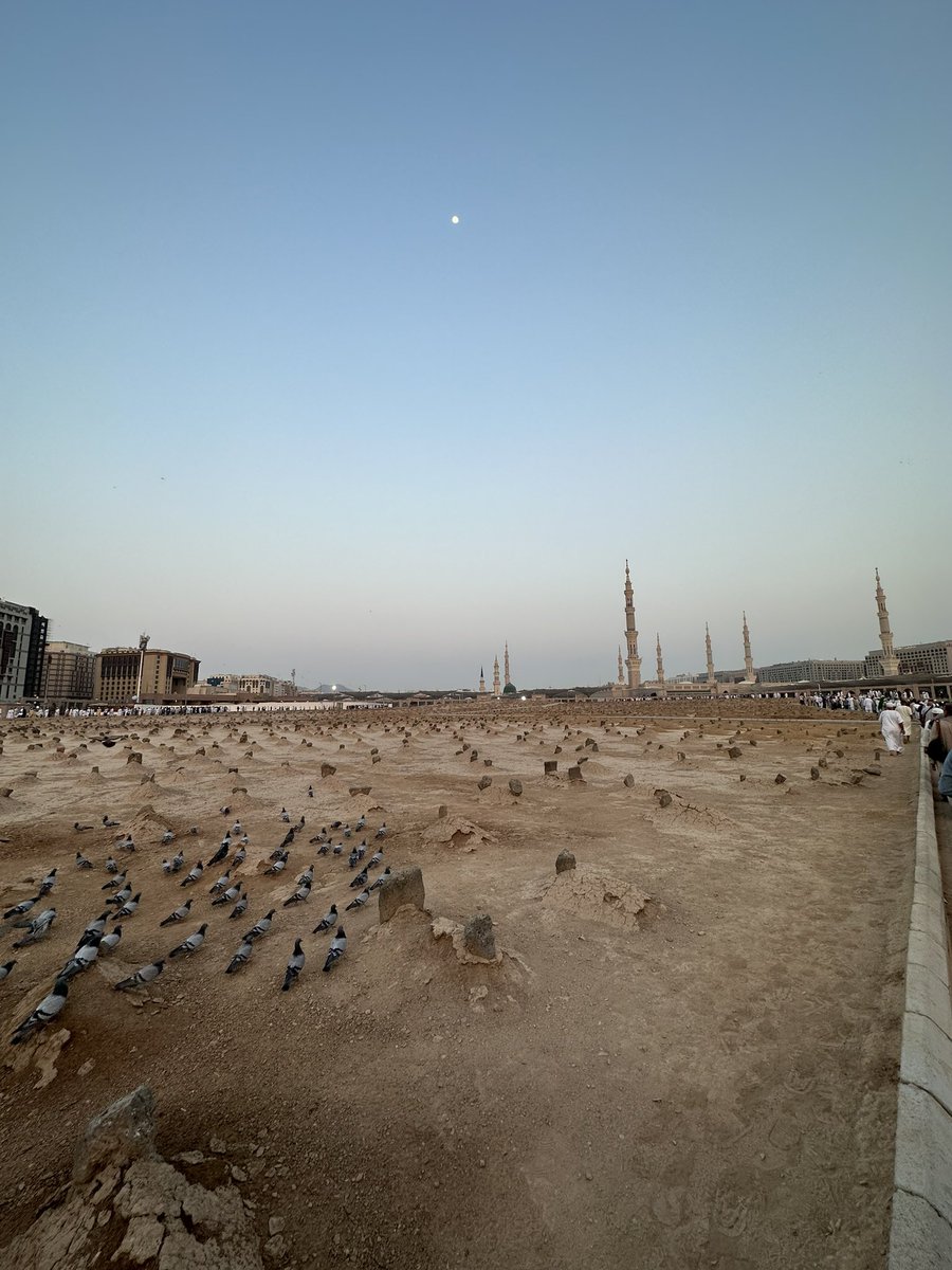 Salam from the land of the Beloved (pbuh&amp;hf) 💚