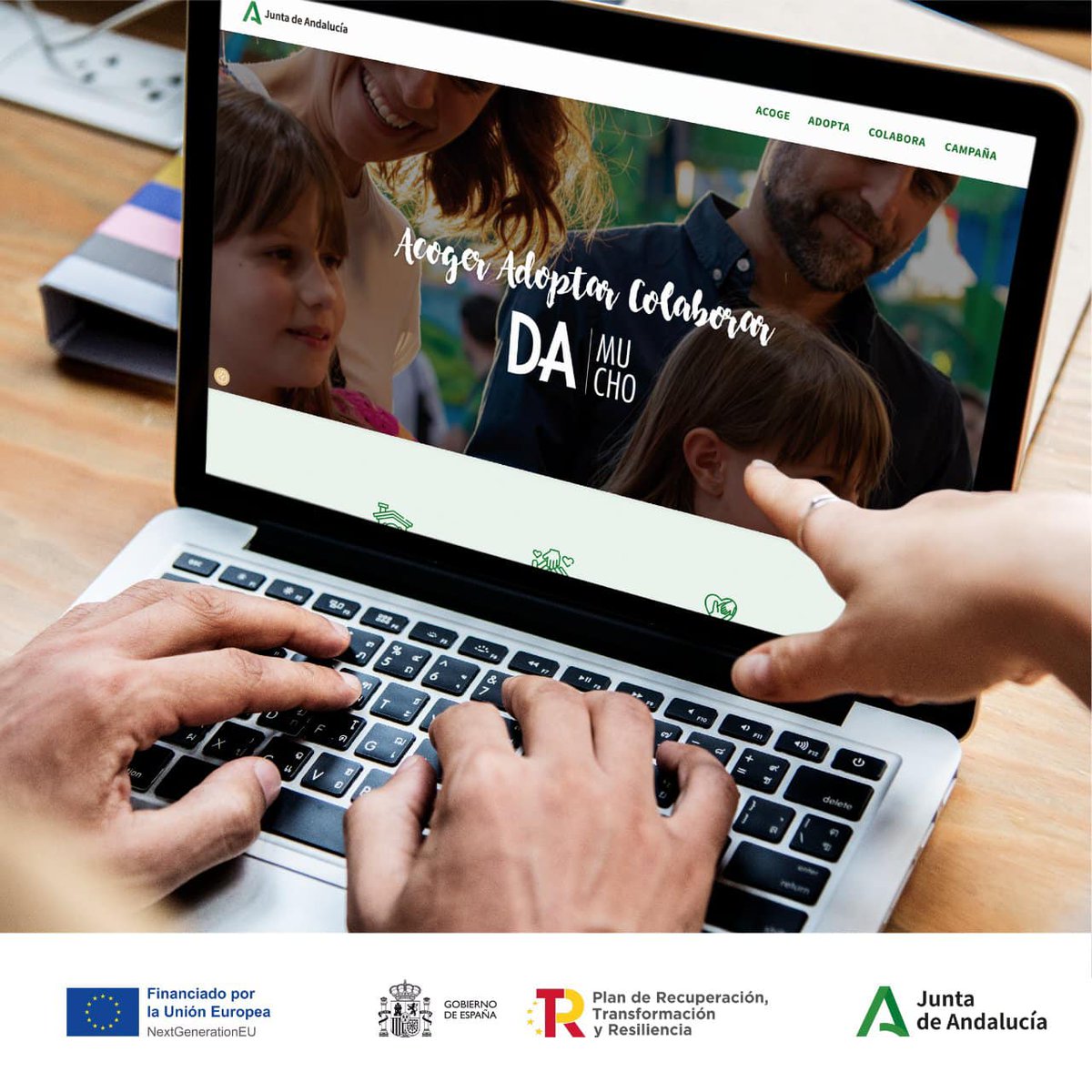 IgualdadAND's tweet photo. 🏡🤝 Si estás interesado/a en iniciar un trámite para adoptar, acoger o ser una familia colaboradora hemos puesto a tu disposición una web donde podrás tener acceso a toda la información que necesites💞
https://t.co/KsmXAGZSRF
#DAMUCHO #AdoptaAndalucía #JuntaDeAndalucia #FEDER https://t.co/GpPFl0Cen1