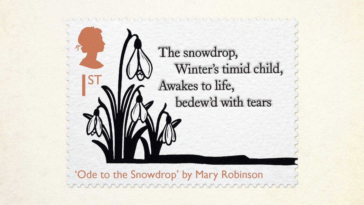 The Chase tweet media