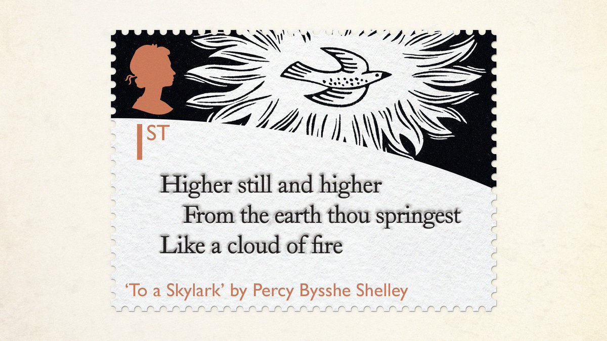 The Chase tweet media