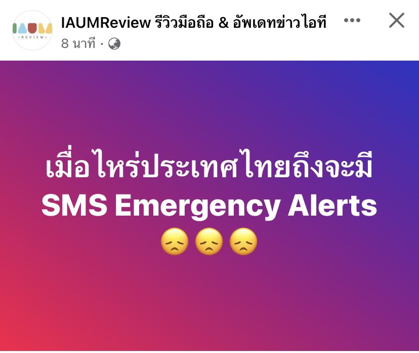 MintyYing tweet media