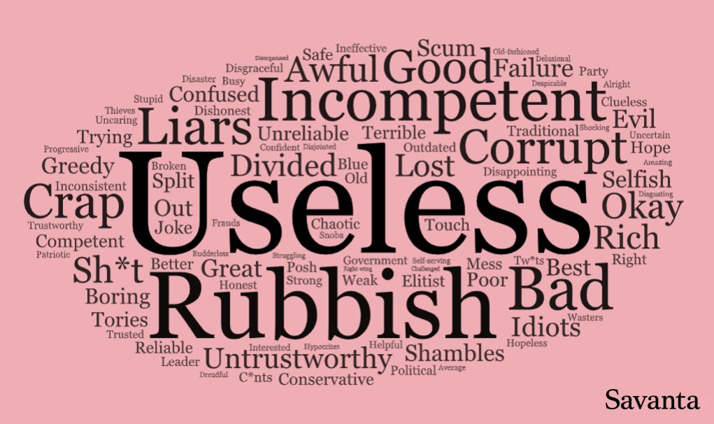 We asked 2,000 people to give us one word to describe the Conservative Party. #CPC23