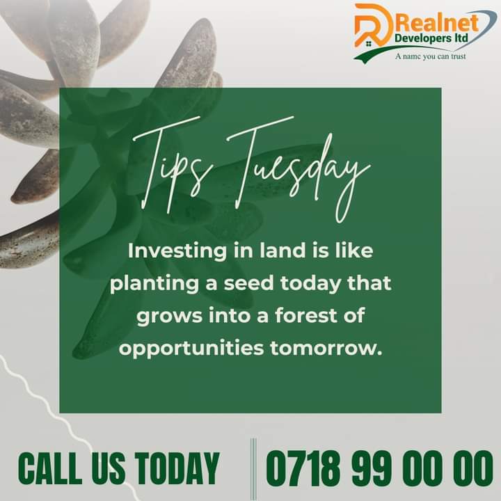 RealnetLtd's tweet photo. Plant the seeds of your financial future wisely.
Land investment offers a foundation for growth and prosperity that only gets stronger with time.
Call us today and let's guide you to your Land ownership journey.
βοΈ: 0718 99 00 00
#RealNetDevelopers
#CustomerServiceWeek https://t.co/ogEtph82aM