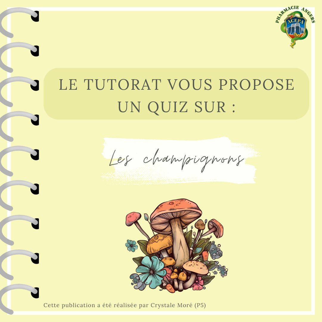 Tutorat ACEPA tweet media