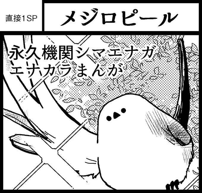 ッシャオラ! 今年のガタケ 
