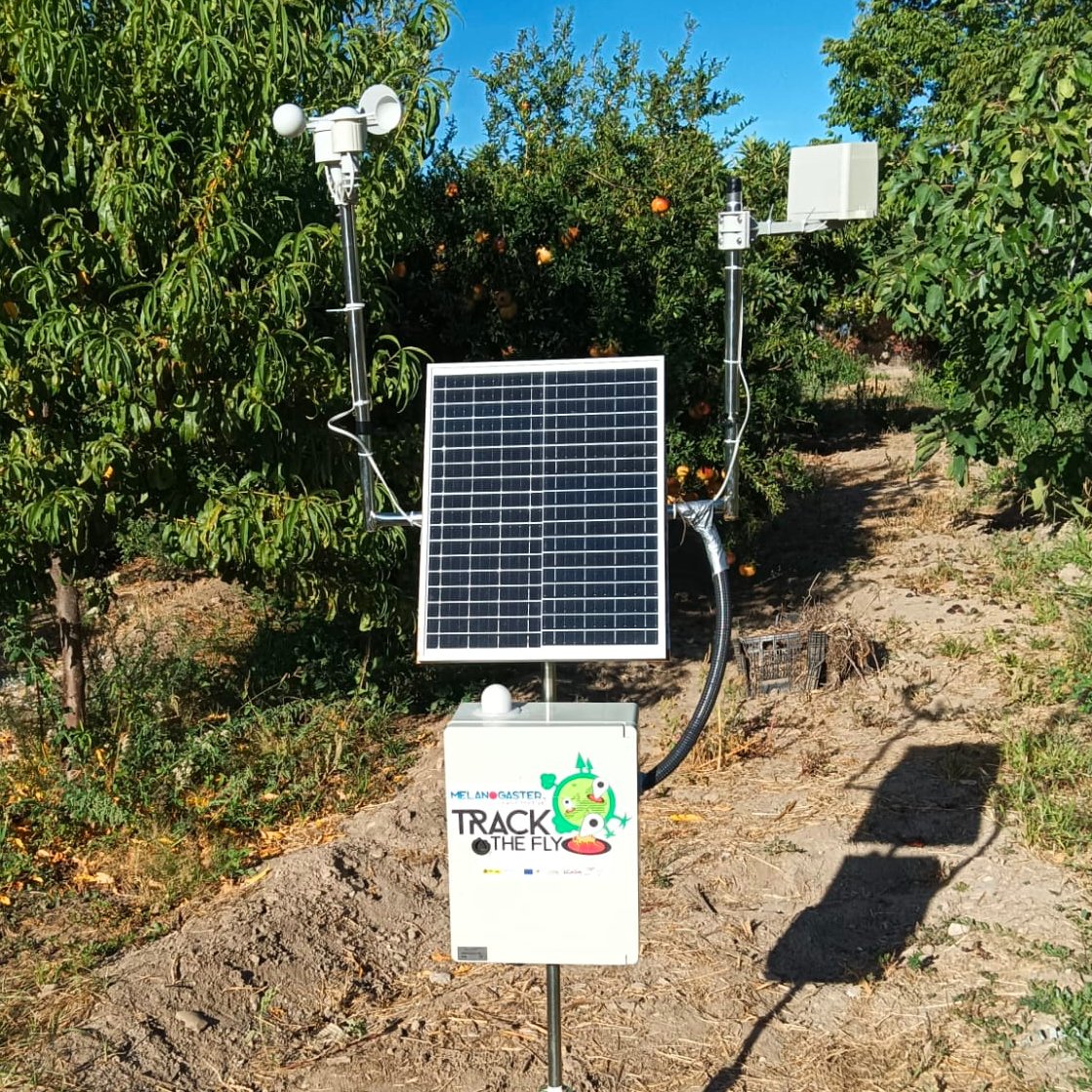 LCATMon's tweet photo. Gracias al Prof. Alberto Lopez Espino #Tecnología
@cesramonycajal #Granada  por montar otra estación #TrackTheFly #MelanogasterCTF #CienciaCiudadana para medir el impacto del #CambioClimatico en la #biodiversidad #Drosophila

@LCATMon @GonzalezLab_BCN @Dros_EU @scasillasv @FECYT https://t.co/dpT7MLlmbe