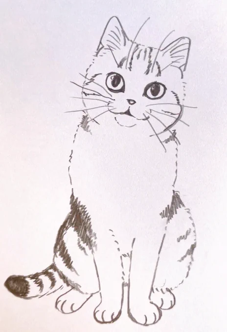 募集おうちに【三毛猫】ちゃんがいる方!お写真を提供していただけませんか?いただいたお写真をもとに絵を描きたいです!※ツリーもご確認ください 