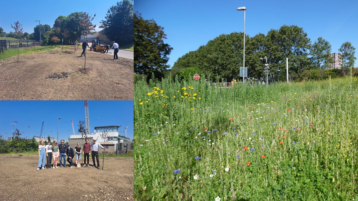 3millsstudios tweet media