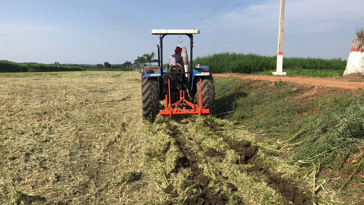 rgosingh's tweet photo. Winter planting season approaching. @BISA__India getting ready for planting under #consevation_ag #mulching of cover crops and #subsoiling for optimizing productivity, resource use efficiency and sustainablity. https://t.co/bfRFeiyUJn