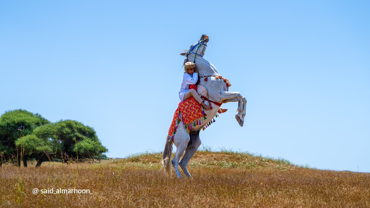 في عيون الخيل نجد بوابة لعالم الصدق والوفاء فهي تعكس روح الانسان

الفارس الصغير / محمد بن هاشم آل حفيظ

#صرب_ظفار_2023
#سلطنة_عمان
#ظفار
#جبجات