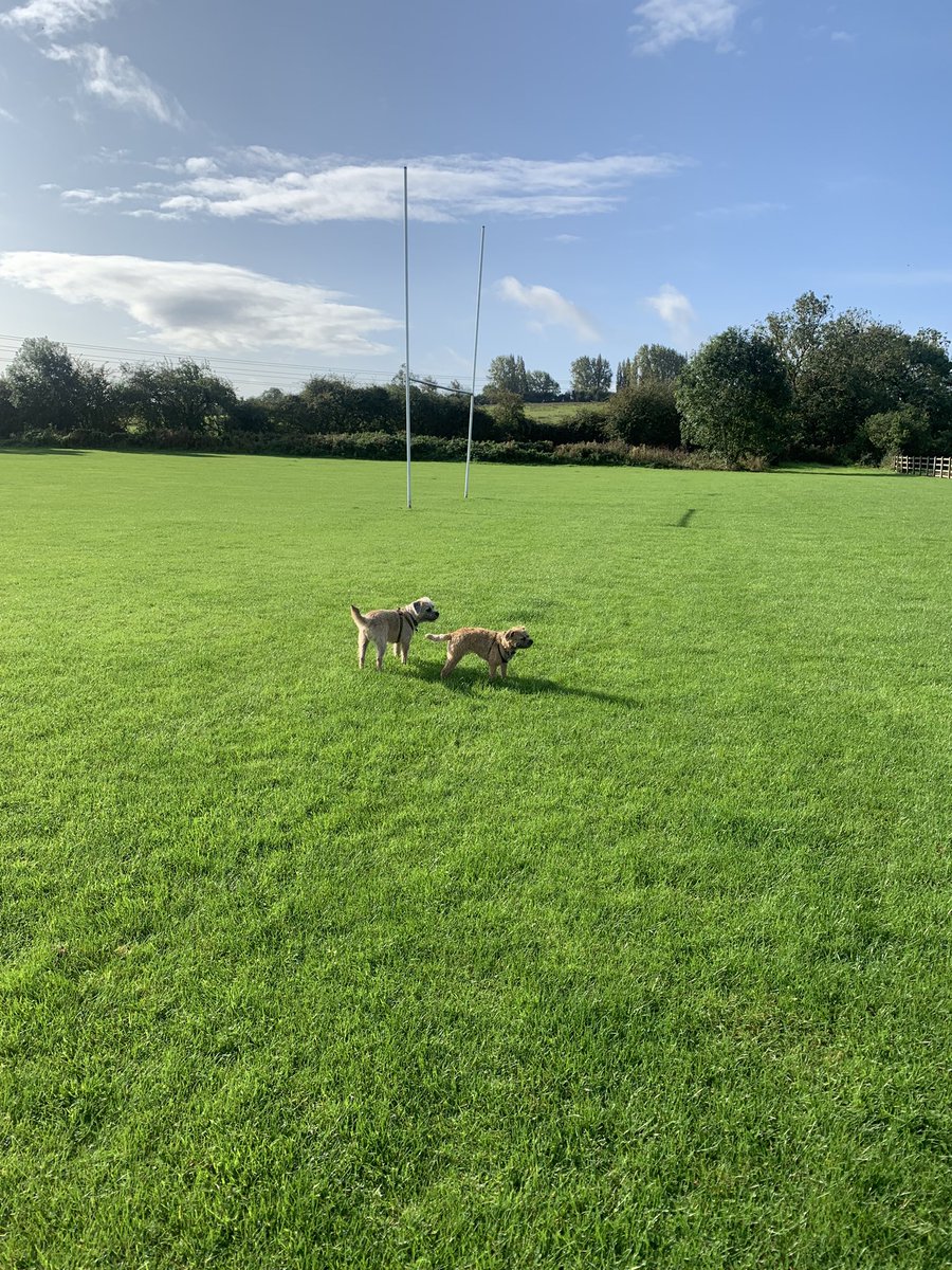 GeorgeJanice1's tweet photo. Rugby anyfur? π #scrumdown #BTPosse πΆπΆπΎπΎ https://t.co/qA1s8l9aqs