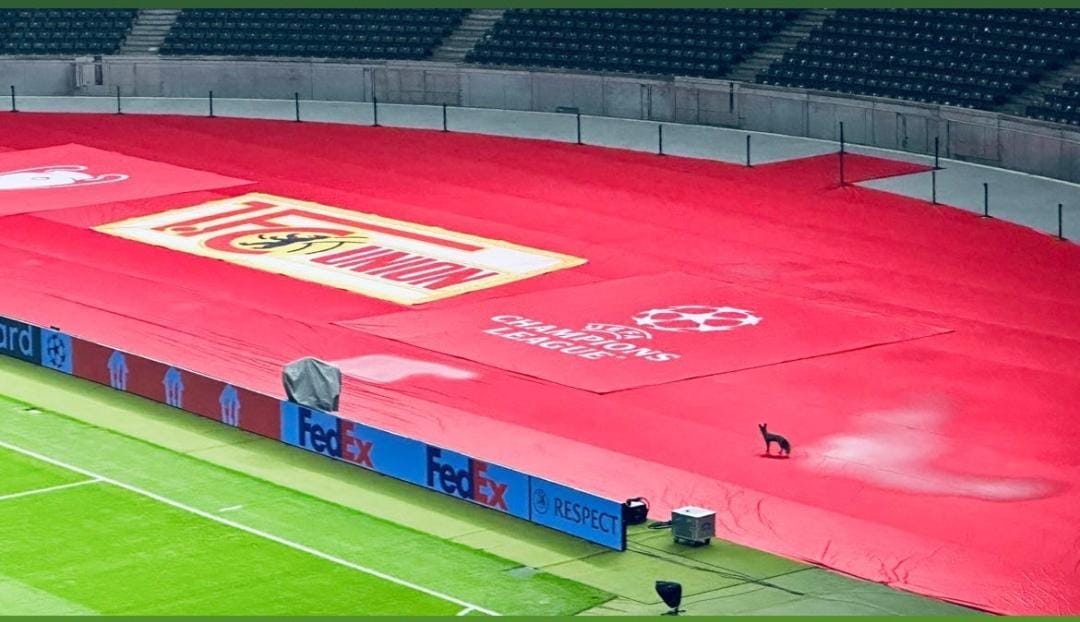 Wenn Sie jenau hinsehen, könn' se mich erkennen wie ick allet uff seine Richtigkeit übaprüfe.

#Eisern #FCUSCB