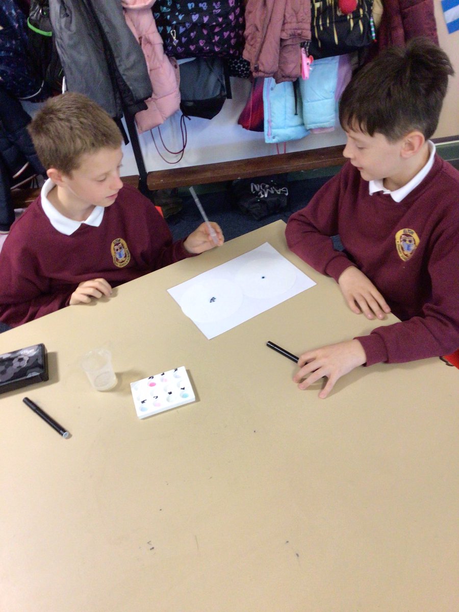 Elton Primary School & Nursery tweet media