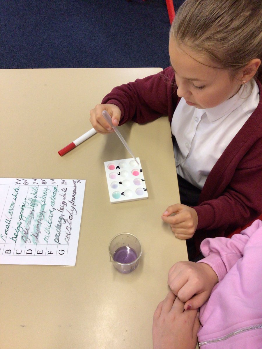 Elton Primary School & Nursery tweet media