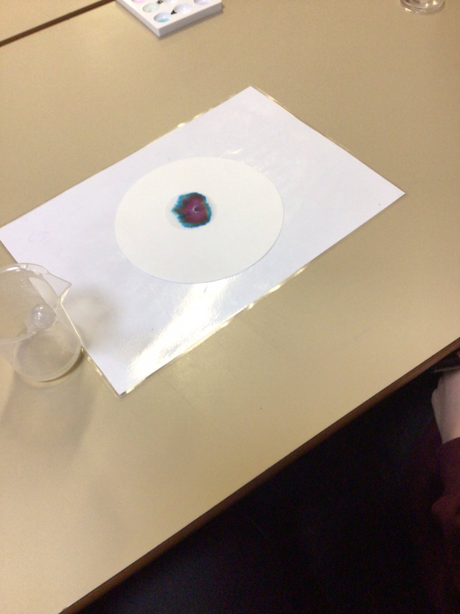 Elton Primary School & Nursery tweet media