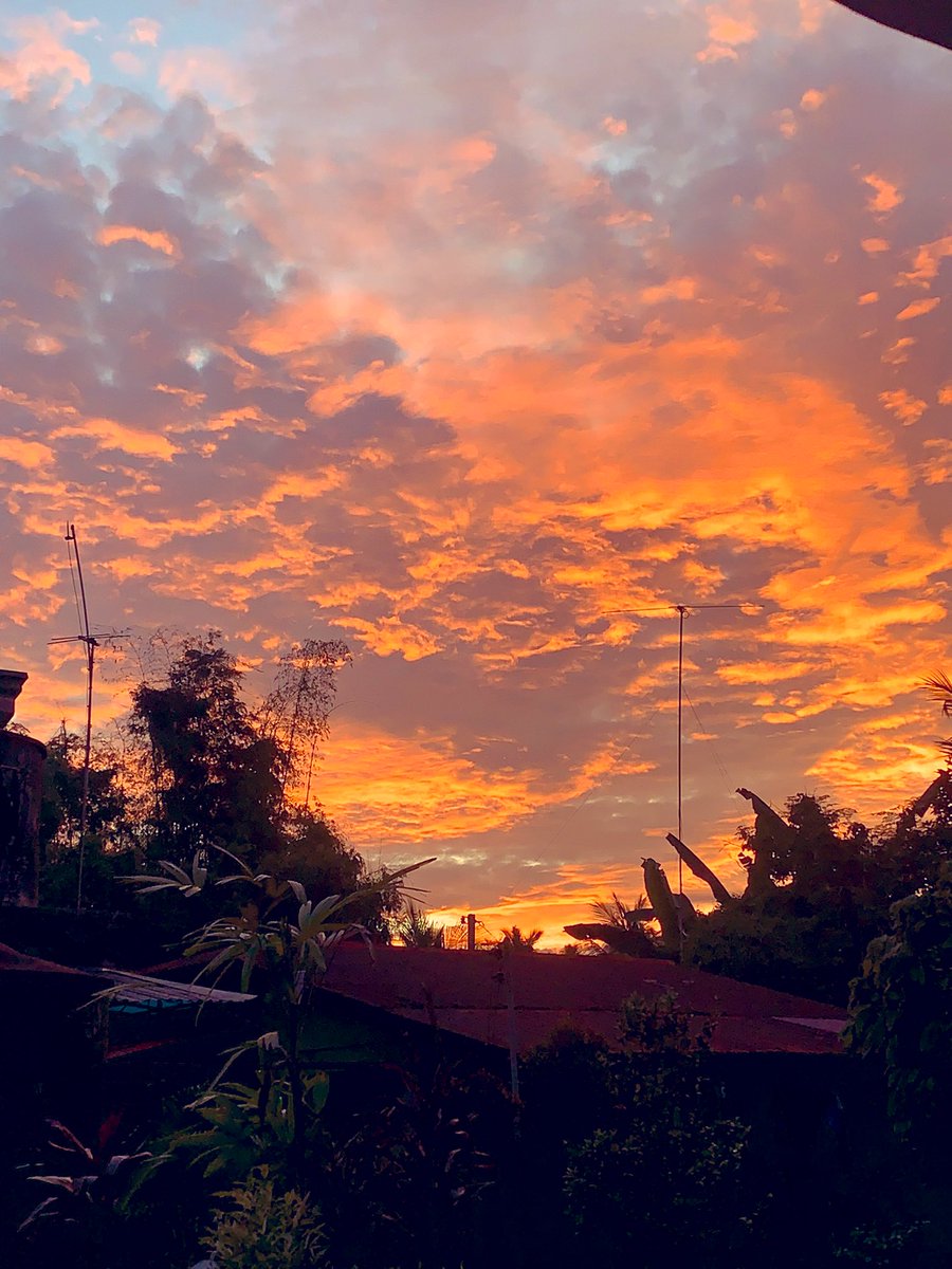 flaviefries's tweet photo. 🌅 https://t.co/VLPF4ZBtp2