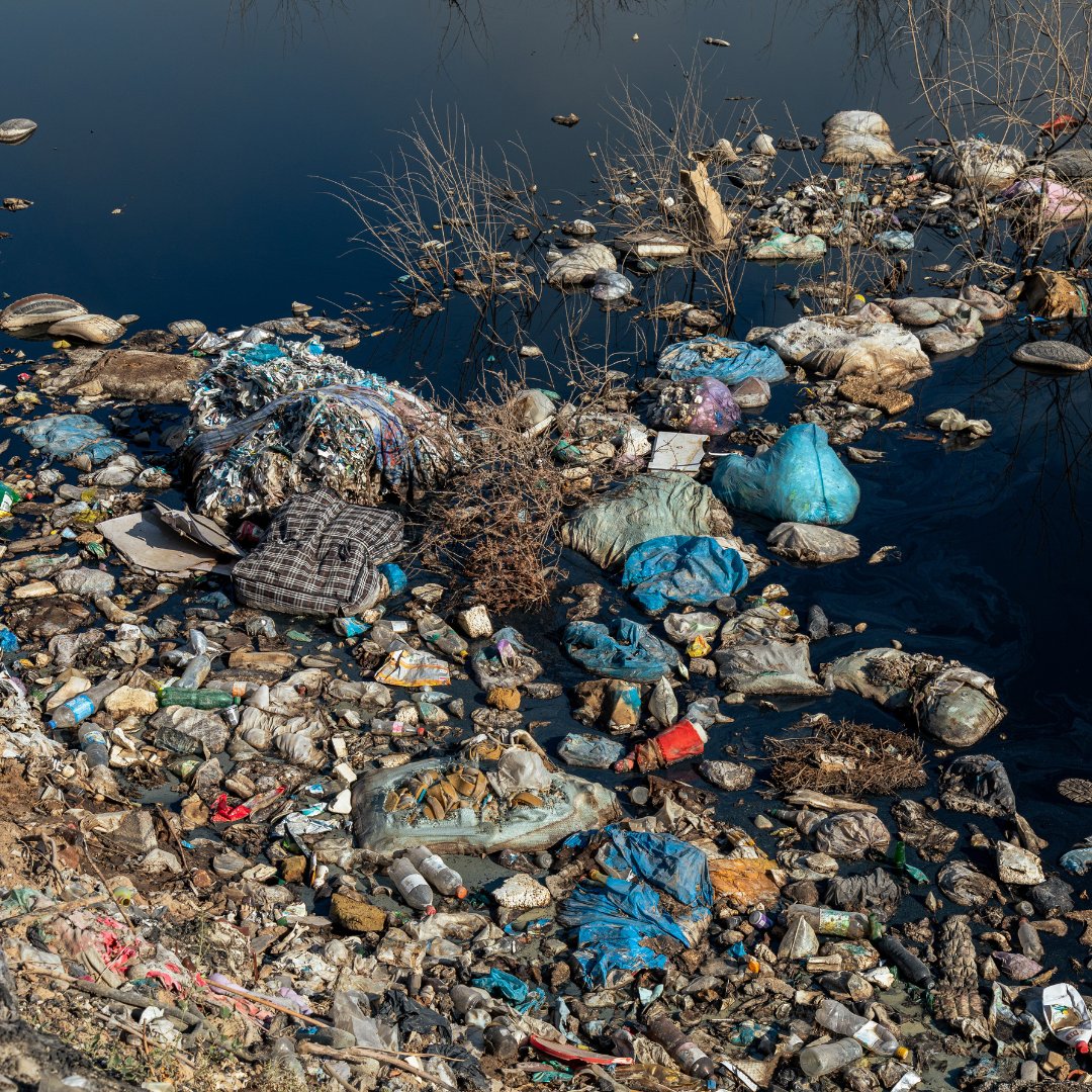 ShebaPlastic's tweet photo. 🌍♻️ Turn trash into treasure! Let's tackle plastic pollution by recycling, upcycling, and down-cycling plastic bottles. 🔄💡 Join the movement and help build a sustainable future, one bottle at a time. 
#PlasticRevolution #SustainableTomorrow #ShebaPlastic 🌟🌱 https://t.co/KA1uxGUVkx