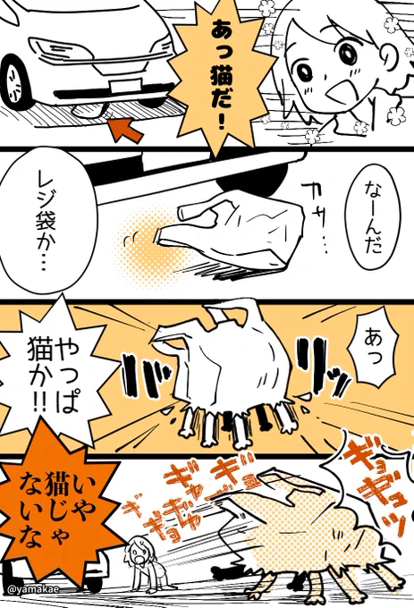 猫だ!