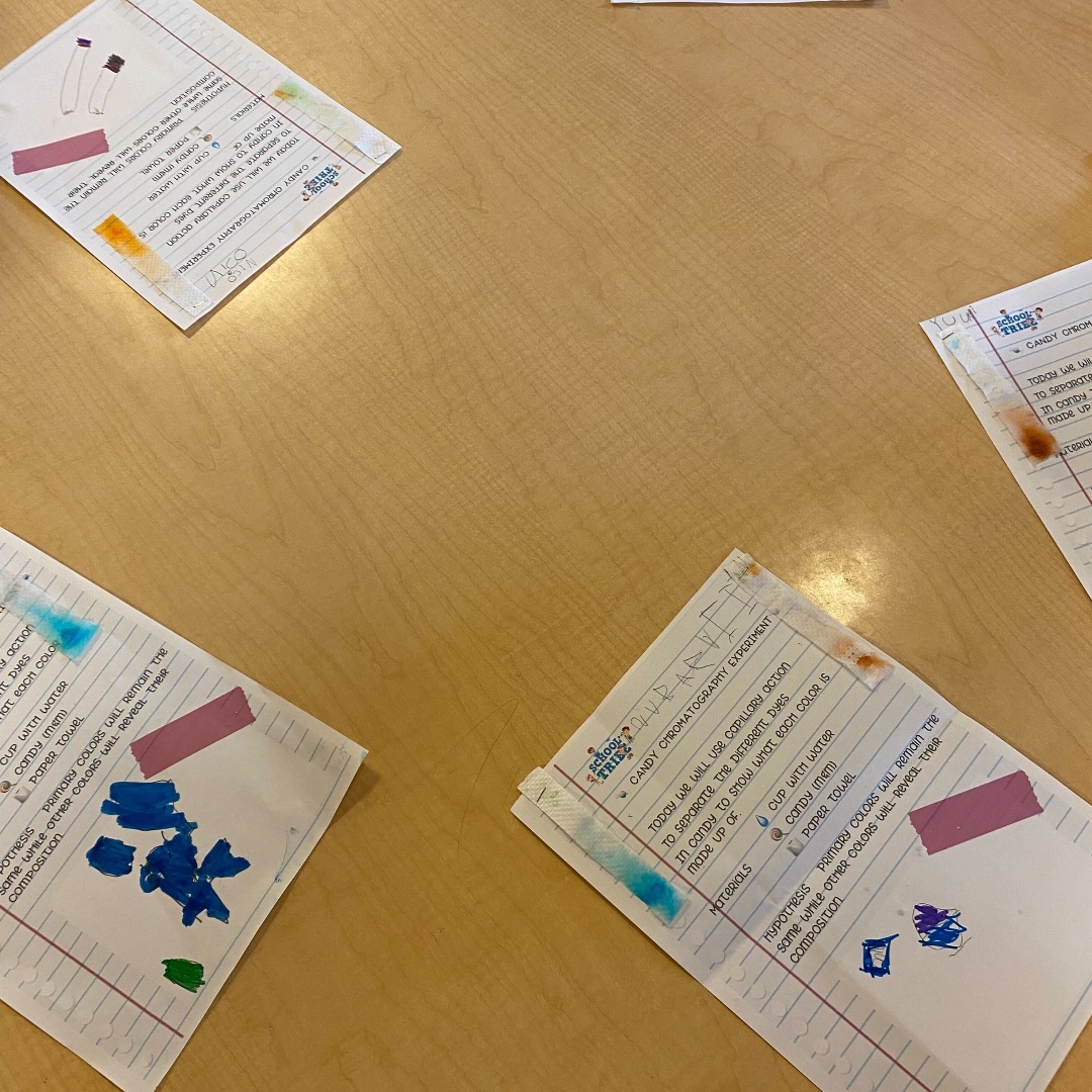 schooltribe1's tweet photo. Today, we got colorful and creative with candy chromatography! We explored the hidden secrets of candies, watching their vibrant hues spread like magic on paper. Stay tuned for more science adventures!  #ScienceClub #ASIJELC https://t.co/zlYwUKxJEm