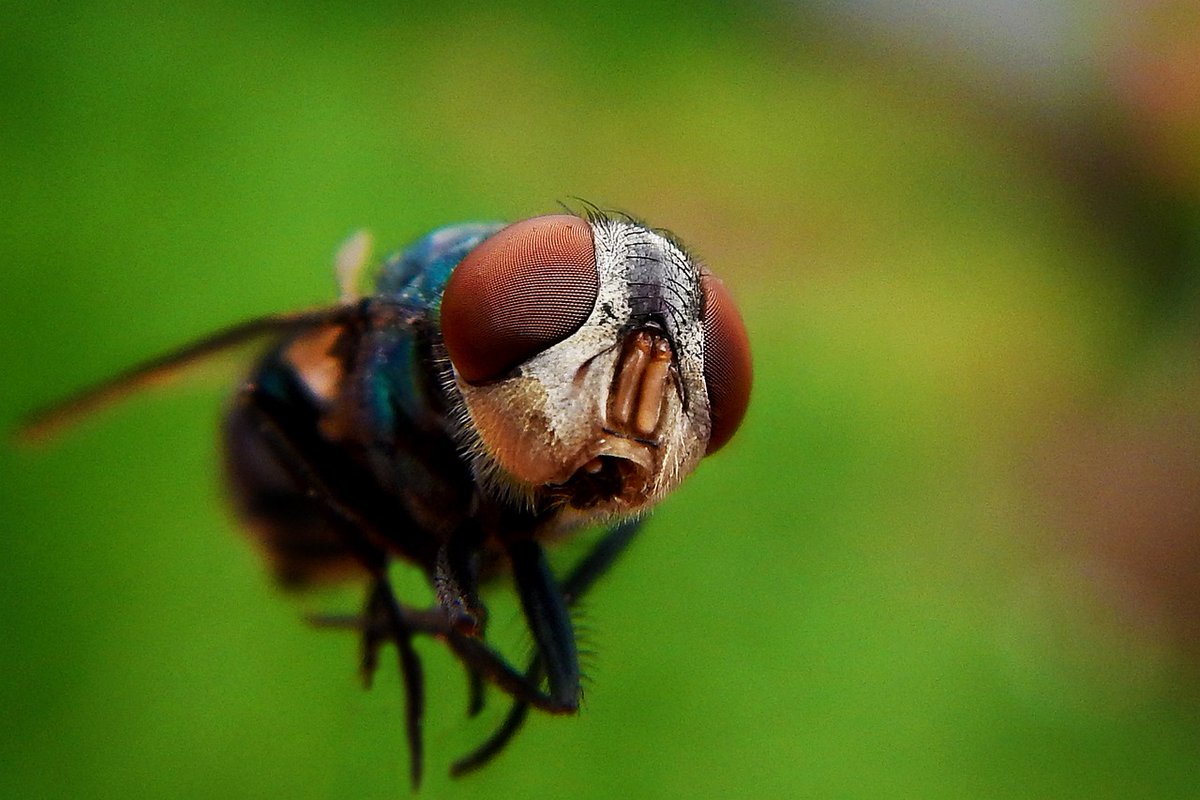 just_Blue___'s tweet image. #photography #nature