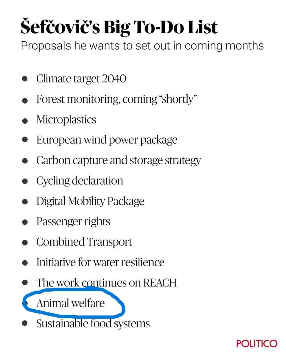 .<a href="/MarosSefcovic/">Maroš Šefčovič🇪🇺</a> ha chiarito che la revisione normativa sul #AnimalWelfare è una priorità. La <a href="/EU_Commission/">European Commission</a> mantenga le promesse a cittadini con riforma su tutela animali allevati.
 #NoAnimalLeftBehind