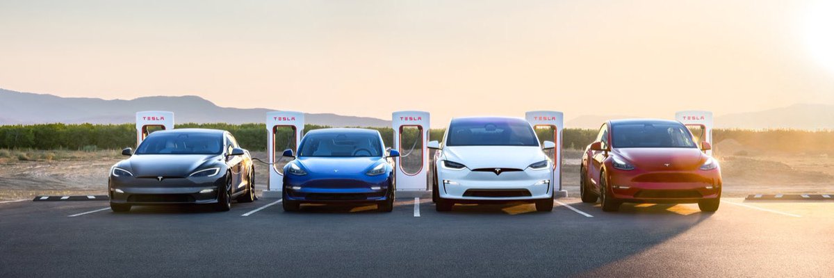 TESLA Fest tweet media