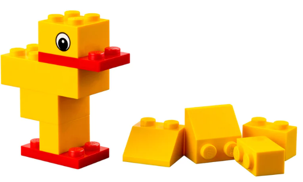 IBTS Education & Research tweet media