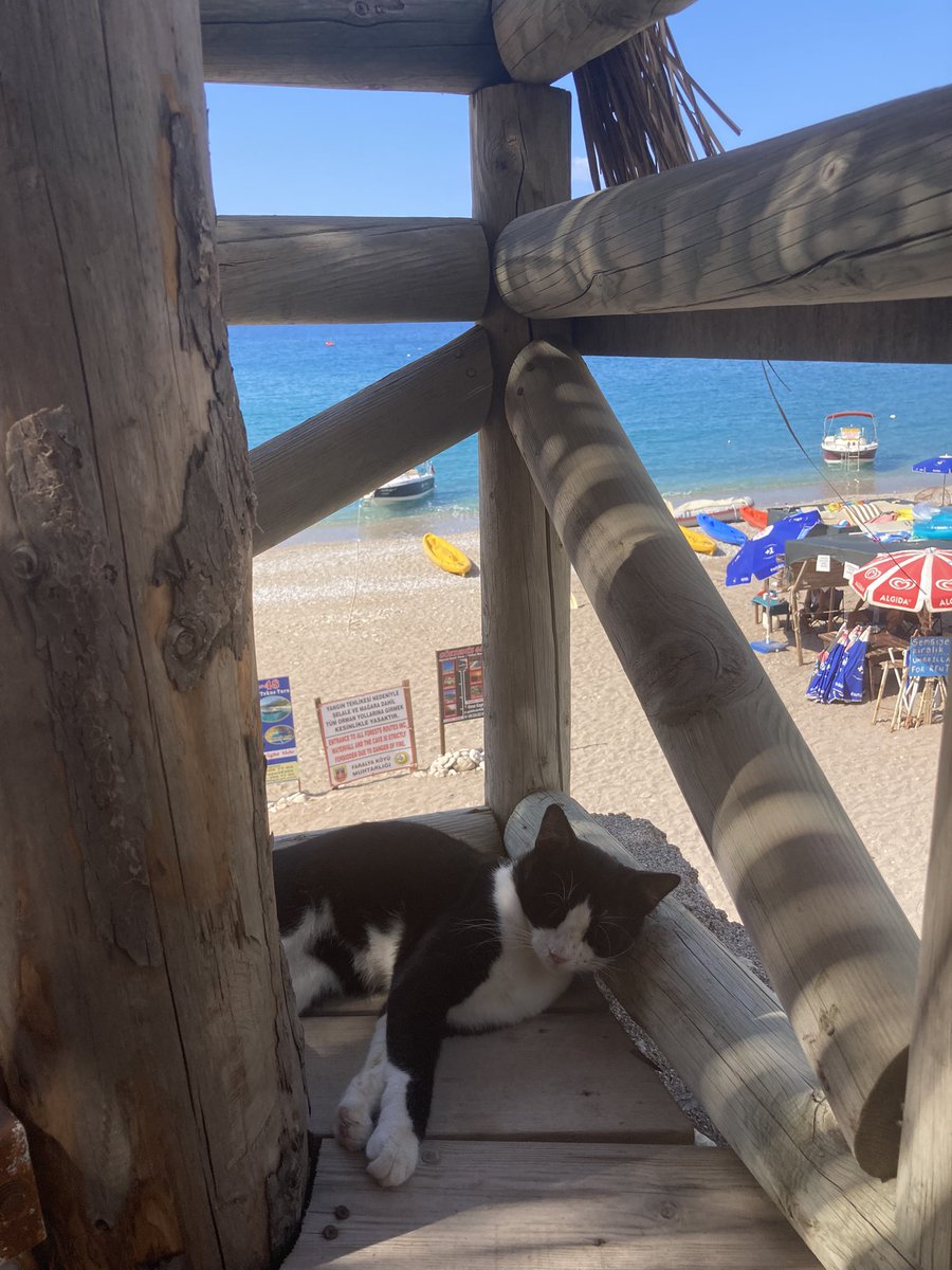 #kabakkoyu sen ne güzel şeysin öyle