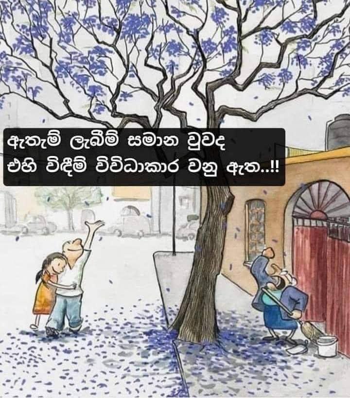 Revsirinanda's tweet photo. https://t.co/P4avvCTsVW