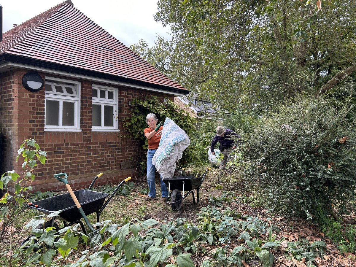 BandstandBeds's tweet photo. Very busy Monday 55+ gardening session with @froglifers 

Lots of hard working clearing beds by #ClaphanCommon’s depot, the back to the garden for tea and cake. And some freshly cooked padron peppers that were hot, hot 🥵 https://t.co/Wrds7CqJ4y