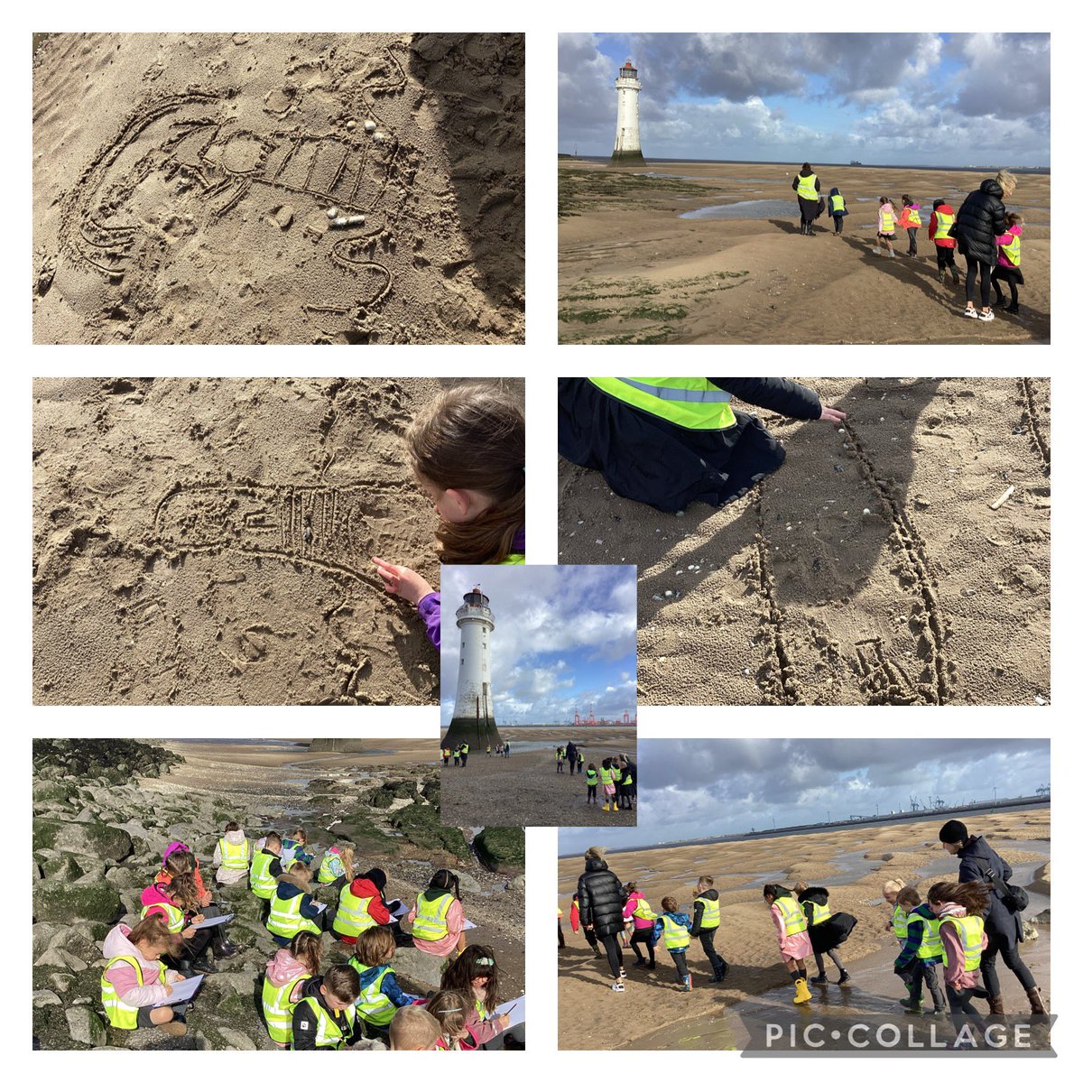 Brackenwood Infant School tweet media